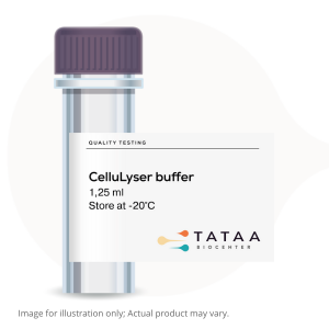 All-in-one solution for direct cDNA synthesis from lysed cells