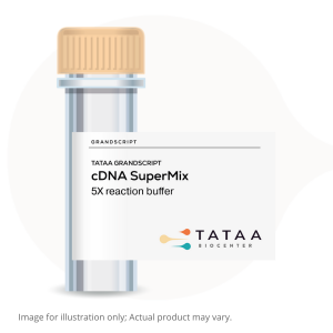 One-tube GrandScript cDNA SuperMix