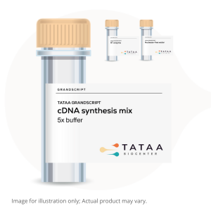 NA to cDNA workflow optimized for sensitive RT-qPCR using GrandScript