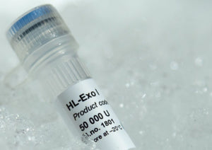 ArcticZymes HL-ExoI Heat Labile Exonuclease for ssDNA cleanup