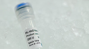 ArcticZymes HL-dsDNase heat-labile double-strand DNase