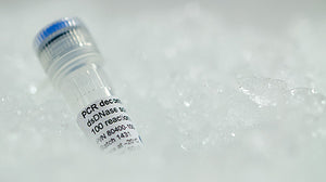 PCR master mix cleanup without sensitivity loss using ArcticZymes kit