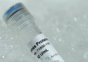 ArcticZymes Proteinase enzyme for chromatin and DNA prep