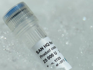 Salt Active Nuclease High Quality for DNA and RNA removal in bioprocessing