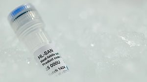 HL-SAN Heat-Labile Nuclease for DNA and RNA removal