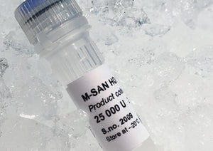 M-SAN HQ nuclease for bioprocessing-grade DNA and RNA removal