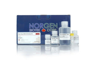RNA extraction from brain and adipose tissue using Norgen kit