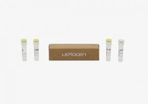 PCR Add-on Kit for Illumina, 96 rxn