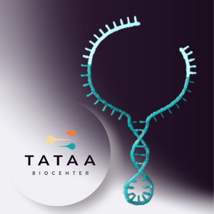 TATAA two-tailed miRNA assays