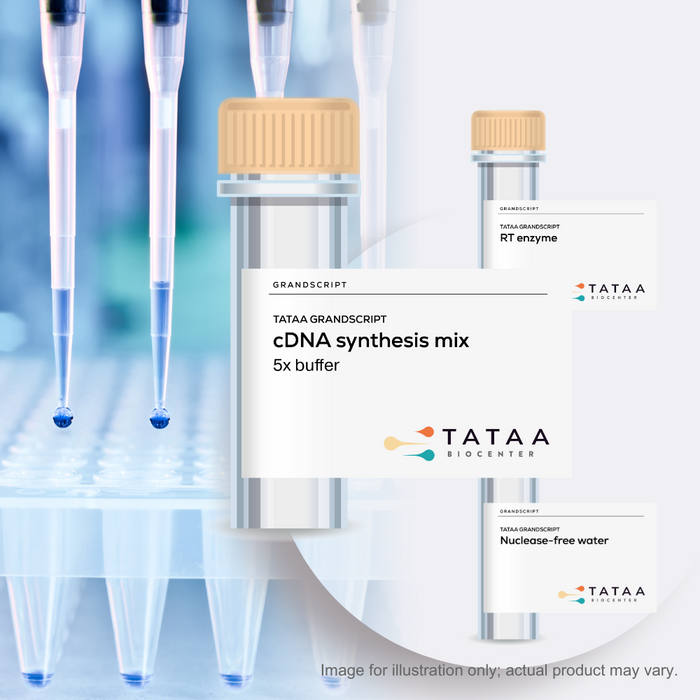 TATAA GrandScript cDNA Synthesis Kit